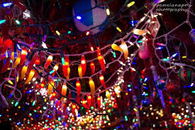 Chili Pepper Lights For Cinco De Mayo Parites Chili Pepper Lights Chili Pepper Chili Lights