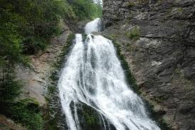 Alimentarea cu apă a pârâului se face din izvorul fântâna rece, situat spre platoul alpin, singurul care alimentează această cascadă permanent. Pin On Cascade Romania Waterfalls