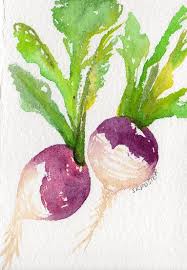 White Purple Turnips Original Watercolor Painting Vegetables Etsy Vegetable Painting Watercolor Paintings Watercolor Art