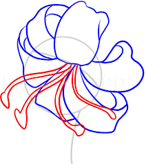 Below this is tiger lily flower coloring pages available to download. How To Draw A Tiger Lily Coloring Page Trace Drawing
