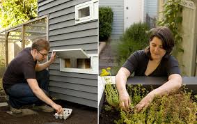 Shop for pawhut wood enclosed outdoor backyard chicken coop kit with nesting box. Chic Modern Chicken Coop Grows A Green Roof