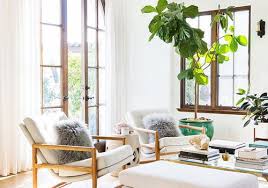 Here's 16 of the best ways to decorate since then, my goal has been to create a plant gang of my own in a sunny spot to bring joy and color to our home. How To Decorate With Large Indoor Plants In Every Home