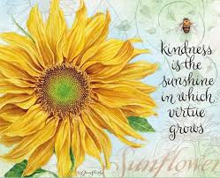 Kindness Flower Quotes Sunflower Quotes Happy Sunday Quotes