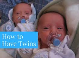 How To Increase Your Chances Of Conceiving Twins Wehavekids