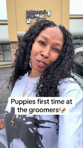 Puppies' First Grooming Experience with Cockapoo