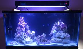 Reefing On A Budget Adding Leds To Your T5 Fixture Marine Depot Blog