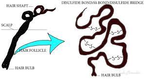 Even though this will not have a big impact, it is still something we (webmasters) should really look into. Curly Hair Problems