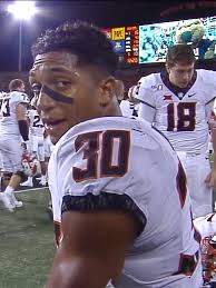 Image result for Hubbardochloa