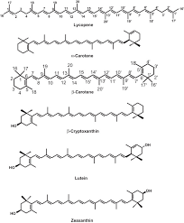 77:11 i will call to mind the deeds of the lord; Alterations Of Natural Pigments Sciencedirect