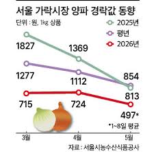 양파 아이콘