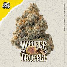 High 90s : White Truffle 3.5g Flower - HIGH 90s
