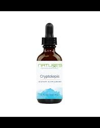 Image result for Cryptolepis products
