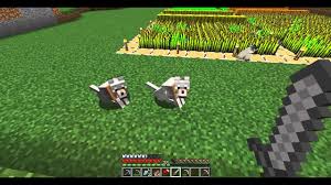 Kedi Ve Kopek Ciftlestirme 26 Bolum Minecraft Rehberi Youtube