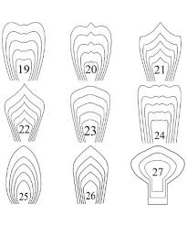 Cut the petals from the free template. Giant Paper Flower Template Pdf Free Download Printable