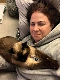 Siamese cat shows affection rarely