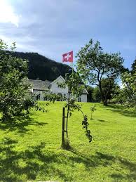 • de bordflaggene våre er laget av acetat, en 100% polyester silke. Ovre Eide Gard I Dag Er Det Det Sveitsiske Flagget Som Facebook