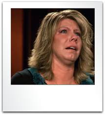 Sister Wives Blog: Review