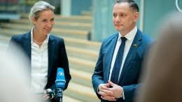Сопредседатель партии альтернатива для германии совместно с йоргом мойтеном, член бундестага (с 2017 года). Fuprumikoha3bm