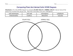 Understanding how these cells aid hiv could lead to new methods that prevent hiv transmission. 4th Grade Science Worksheets Best Coloring Pages For Kids Animal Cell Science Worksheets Venn Diagram