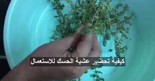 Pin On أعشاب لعلاج الضعف الجنسي
