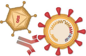 *johnson and johnson vaccine paused for causing blood clots*. Johnson Johnson S Vaccine Offers Strong Protection But Fuels Concern About Variants The New York Times