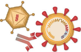 Johnson & johnson's vaccine candidate, which is being developed in partnership with janssen pharmaceuticals, differs in several ways from in addition, the johnson & johnson vaccine requires basic refrigeration for storage. Here Is What We Know About The Rollout Of The Johnson Johnson Vaccine The New York Times