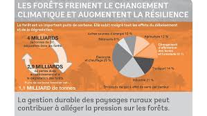 Aucun modèle climatique n'avait prévu un refroidissement de la planète, mais plutôt le contraire. Les Forets Freinent Le Changement Climatique
