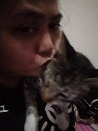 Lost cat found near home safely