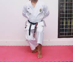 Gerakan kata dibagi menjadi 5, yaitu heian shodan (kata 1), heian nidan (kata2), heian sandan (kata3), heian yondan (kata 4), dan heian godan (kata 5). Kuda Kuda Neko Ashi Dachi Dalam Olahraga Bela Diri Karate