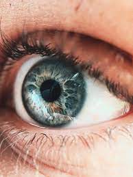 Mobile Photography Macro Lens Shotonmoment Momentmacro Macro Photography Eyes Macro Lens Eye Photography