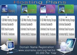 Website Hosting In Uganda Www Crystalwebsitehosting Com Website Hosting Web Hosting Hosting