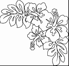 Hawaiian Flower Coloring Page Best Of Hawaii Flowers Drawing At Getdrawings Hawaii Flowers Drawing Flower Coloring Pages Rose Coloring Pages