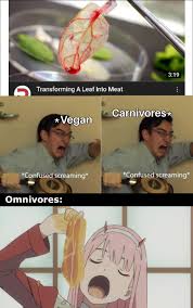 zero two meme : rAnimemes