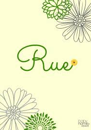 Rue Meaning Origin And Popularity Of The Name Another Name Of The Hunger Games Fame Rue Is Sweet Girl Names Flower Names For Girls Baby Girl Middle Names