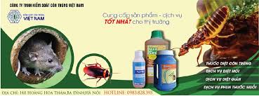 Dịch vụ diệt côn trùng hiệu quả. Thuá»'c Diá»‡t Con Trung Home Facebook