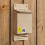Lela Bat Box