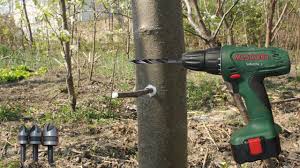Novi Nacin Kalemljenja Voca Kalemljenje Busilicom In 2020 Novi Power Drill Drill