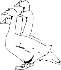 Such as png, jpg, animated gifs, pic art, logo, black and white, transparent, etc. Geese Coloring Pages Best Coloring Pages For Kids