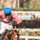 Grand National event image