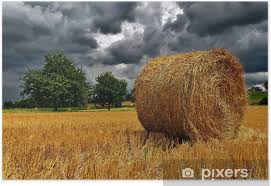 La technique nebraska modernisée il s'agit d'empiler les ballots de paille en quinconce, sans aucune ossature. Poster Ballot De Paille Pixers Nous Vivons Pour Changer