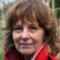 On his centennial, an estimation of James Baldwin's enduring power and  influence