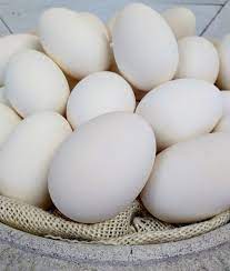 Reserve Listing For Bonie Goose Eggs Empty Goose Eggs With Single Hole On Bottom Blown Real Goose Eggshells Easter Decoration Nursery Macaw Parrot For Sale Eggs For Sale Fixer Upper Style