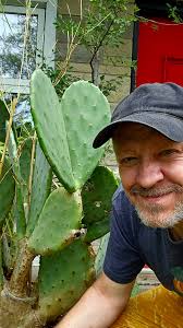 Is lupine ready to be planted in zone 6a?