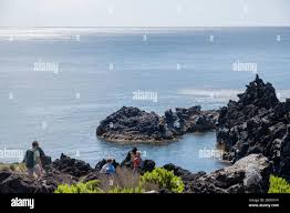 Image result for Ferraria