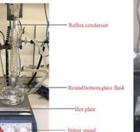 a) Glass reactor for synthesis of biodiesel. (b) Biodiesel ...