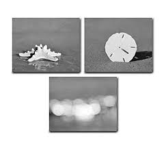 Gold bath acronym bathroom wall plaque art. Amazon Com Beach Bathroom Decor Grey And White Beach Theme Bathroom Wall Art Black And White Photographic Print Set Photos Of Seashell Starfish Sand Dollar Ocean Light Sparkles Cottage Bath Set Of 3