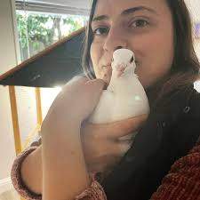 Blue tongue skink footprint reference image needed