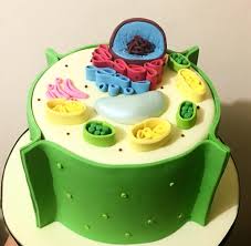 U can make jello as chloroplast and grapes and tomatoes as the necleusand form the out side of the jello curved as if it is a cell wall. Plant Cell Cake Baking