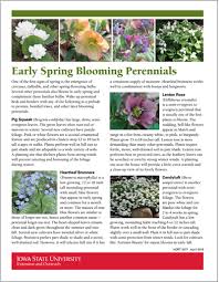 Look to it to lift your spirits from early spring through early summer. Early Spring Blooming Perennials