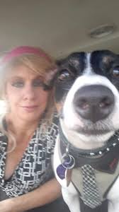 New! Never been played and still intact. Little tikes. Bounce and sing  buster. Batteries included. From 12 months up. Educational to develop fine  motor skills. English version. Pick up or send thru